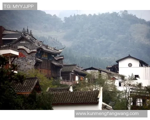 探索埃斯特旺的历史与文化魅力，感受独特的地方风情与人文底蕴