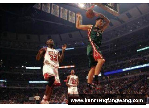 篮球之光：NBA的荣耀与挑战