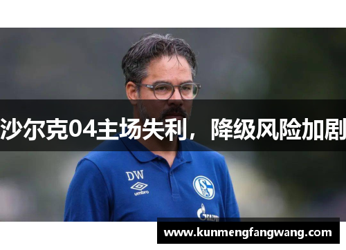沙尔克04主场失利，降级风险加剧