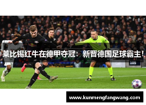 莱比锡红牛在德甲夺冠：新晋德国足球霸主！